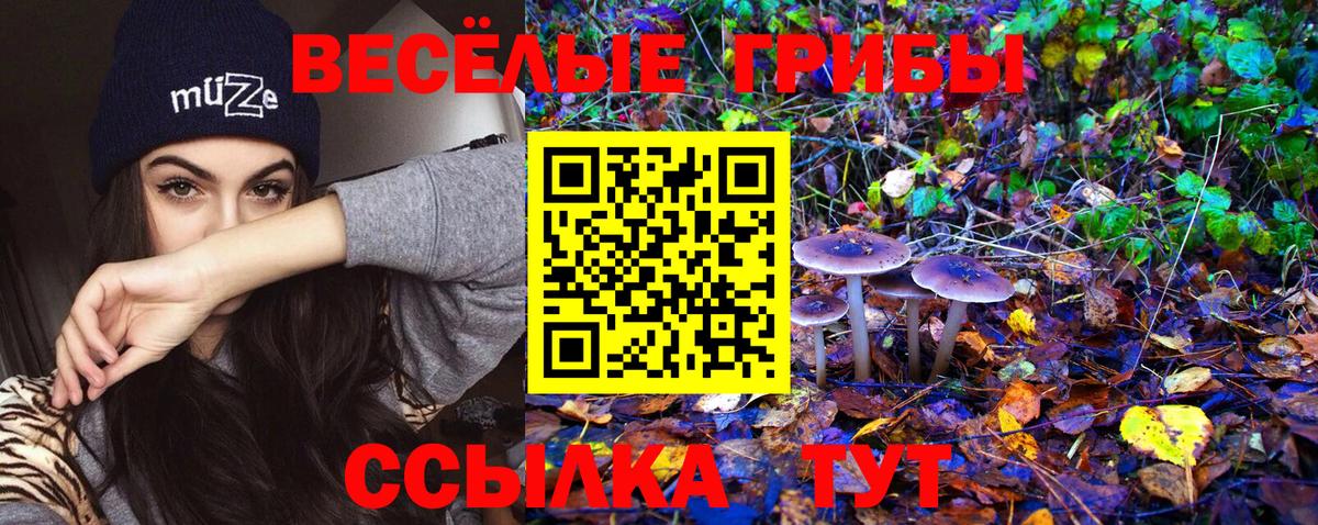 Галлюциногенные грибы ЛСД  Галлюциногенные грибы ЛСД  Вход с VPN  Владикавказ 